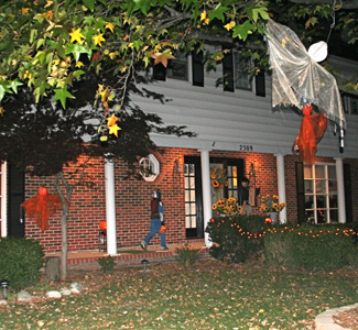 A well decorated yard