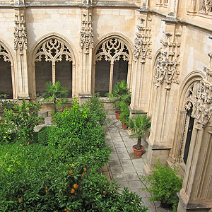 Orange Tree in Cloister Yard