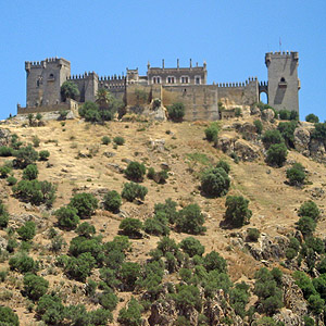 View of a castle on a hill