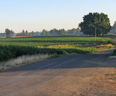 Outer Island Road on Grand Island