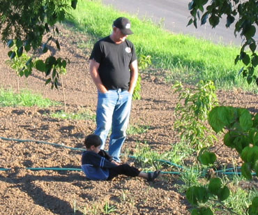 A grandfather and his young grandson admire sapling peach trees