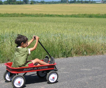 Arthur in his little red wagon