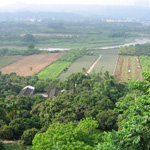 Fields of Chiayi County