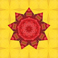 9-pointed star design