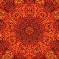 9-pointed star design