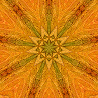 9-pointed star design