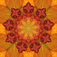9-pointed star design