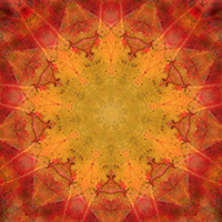9-pointed star design
