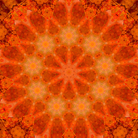 9-pointed star design