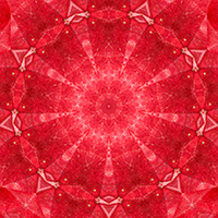 9-pointed star design made from a red maple leaf