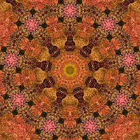 A design I have made