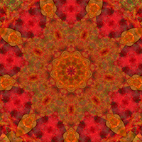 9-pointed star design