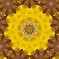 A design I have made