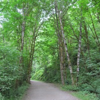 Paths