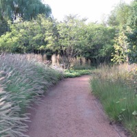 Paths