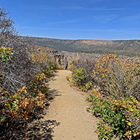 Paths