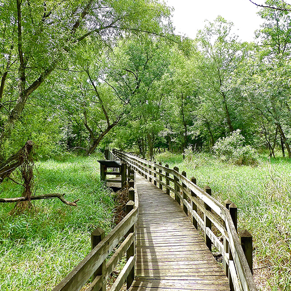 Pershing State Park