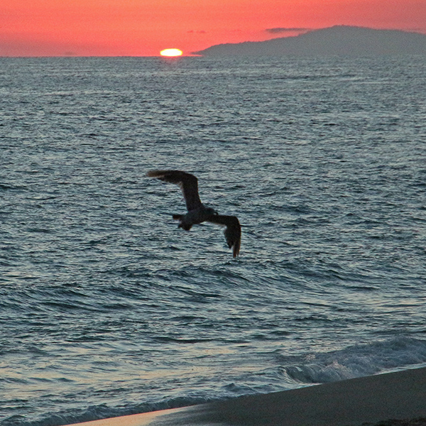 Sun setting next to Catalina Island seen from Aliso Beach in Laguna Beach, California