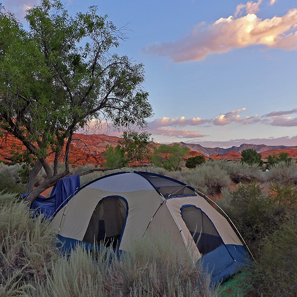 Good campsite in Snow Canyon