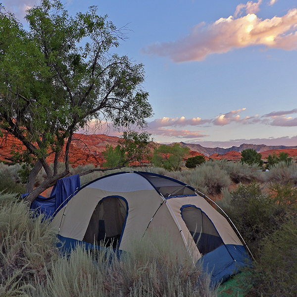 Good campsite in Snow Canyon
