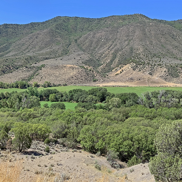 Elk Creek Valley near New Castle, Colorado