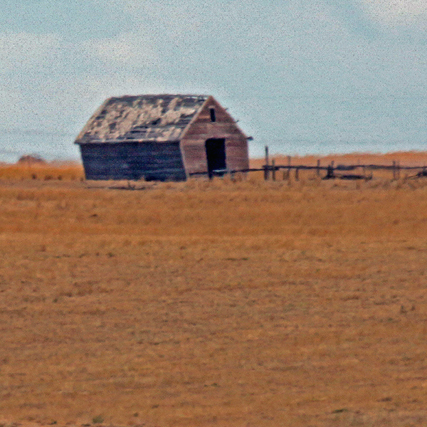 Ruined shack in eastern Colorado