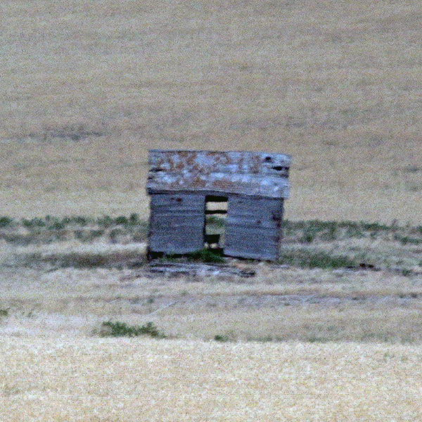 Shack ruin all alone