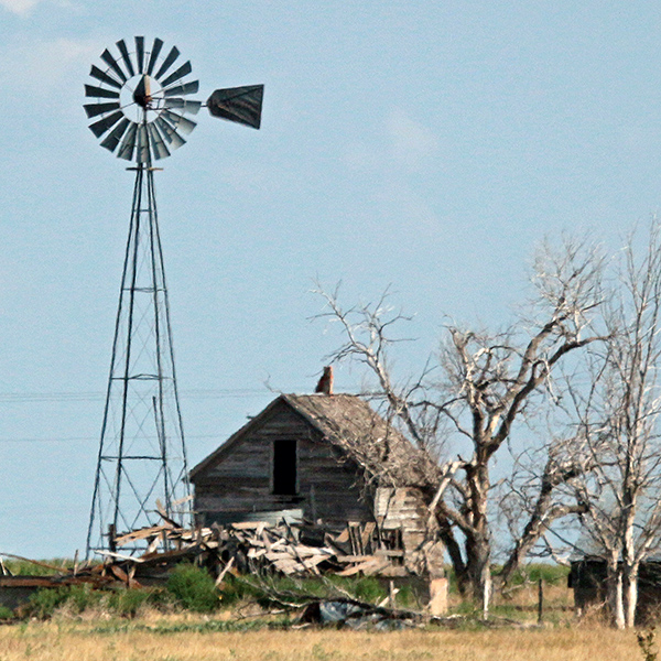Windmill and ruined home with tree