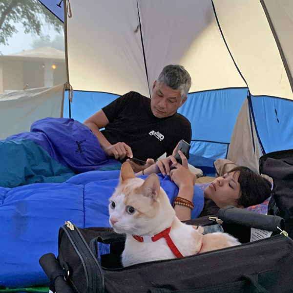 Cat enjoying camping in Saint Francis, Kansas