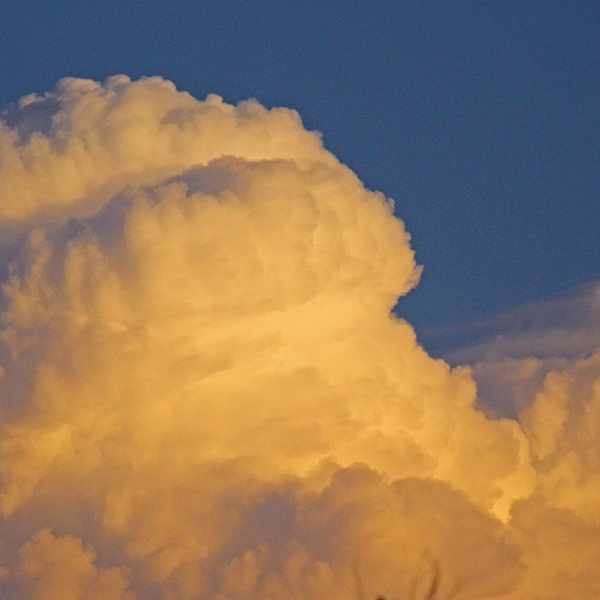 Evening sunlight on Cumulonimbus calvus clouds