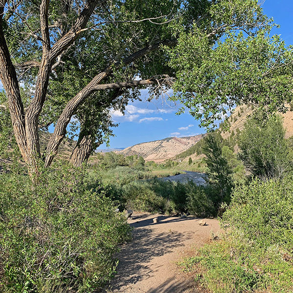 Campsite 1 at Lyons Gulch Campground and River Access