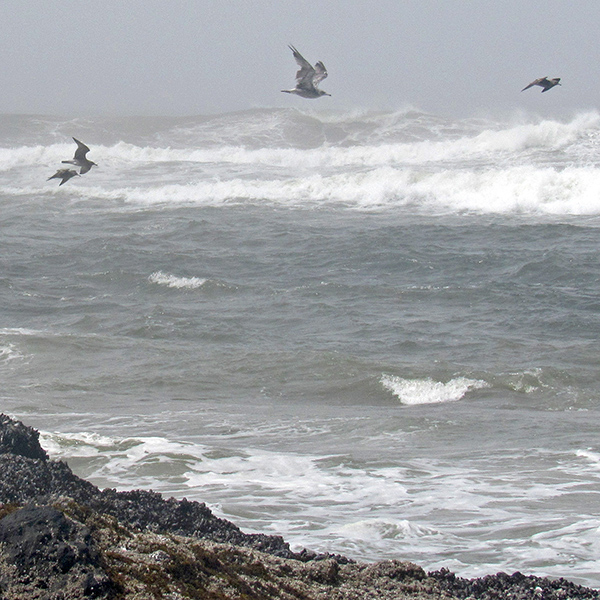 The Pacific Ocean at Yachats.