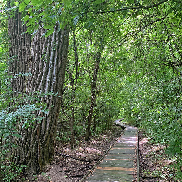 Locust Creek trail