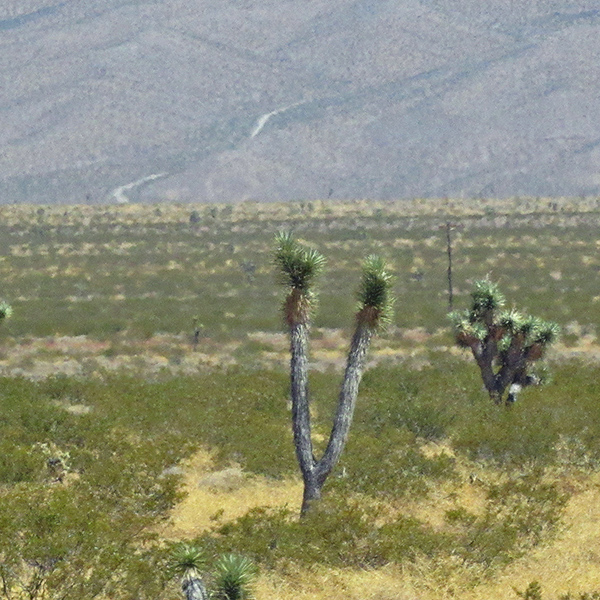 Looking south from I-15 around the 109 mile marker eastbound.