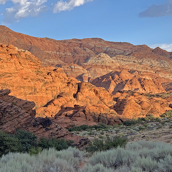 Morning in Snow Canyon