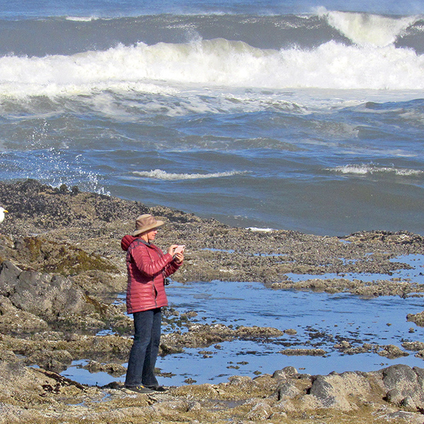 Mom watching the waves in the morning.