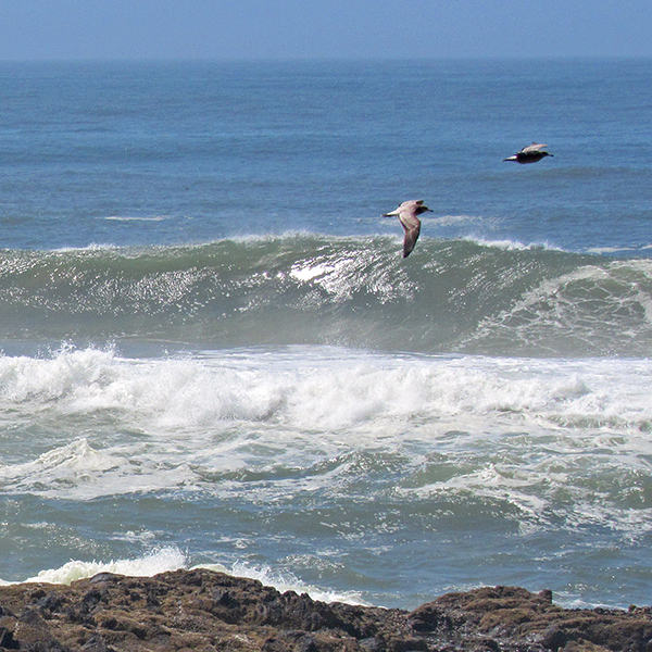 Looking out to see to watch the waves from our rented home in Yachats.