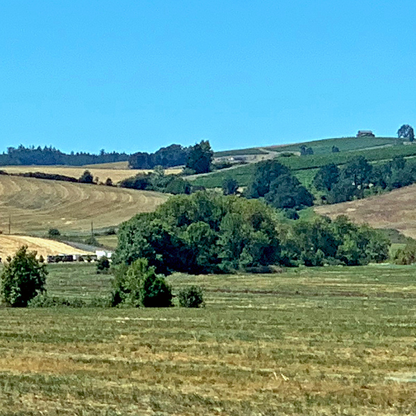 The hills on the west side of the Willamette Valley in Yamhill County.
