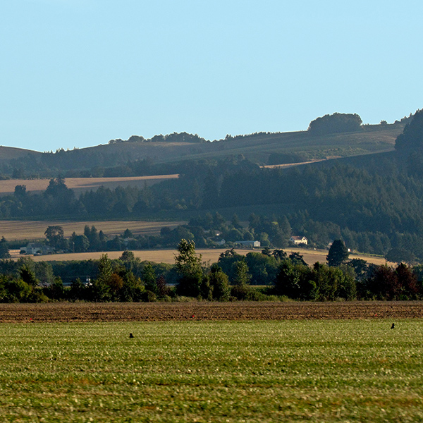 Eola Hills, a range of hills in the Willamette Valley in Yamhill County, Oregon.