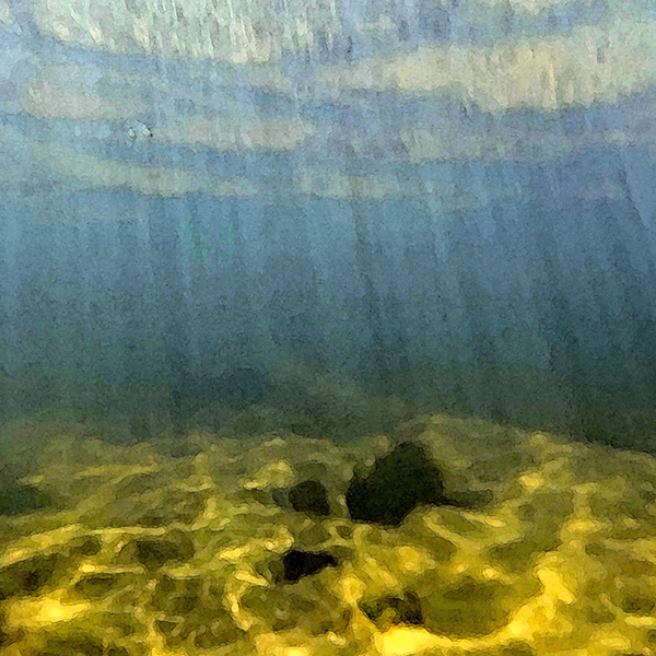 A view from under the surface of the Yachats River.