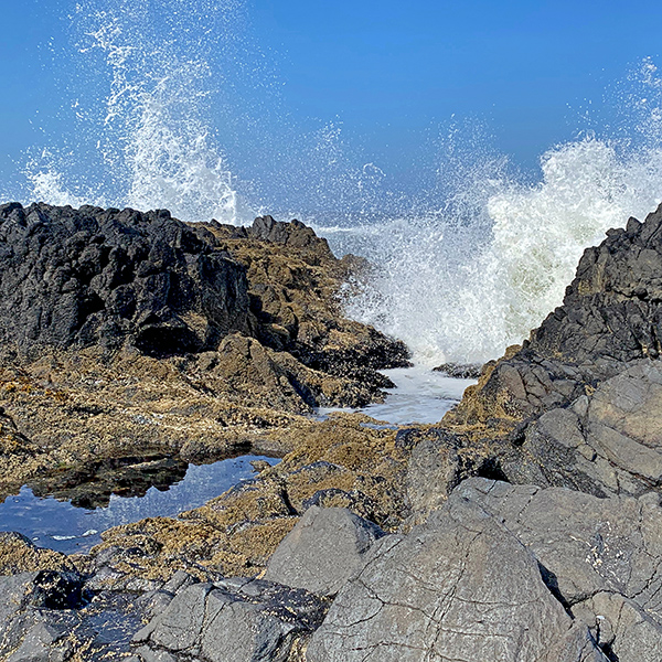 Tidepools receive water from the waves of the rising tide.