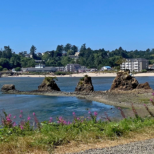 Siletz Bay Vista Point.