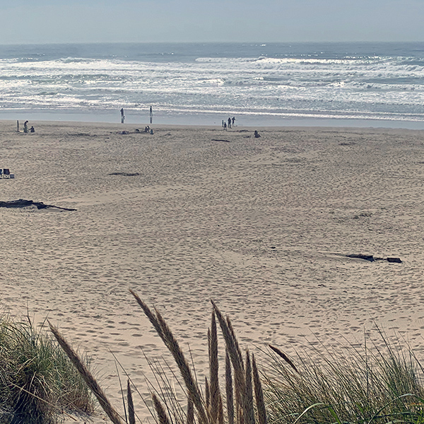 A panoramic view of South Beach State Park.