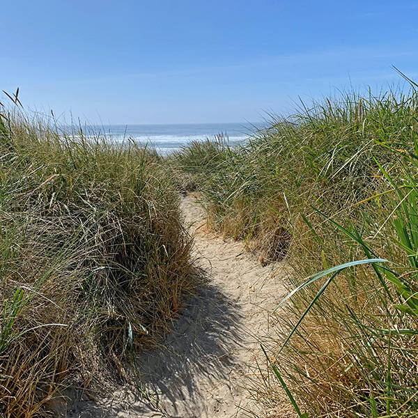 The trail over the sand dune to South Beach (south of Newport, Oregon).