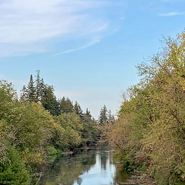 The Tualatin River near Tigard, Oregon.
