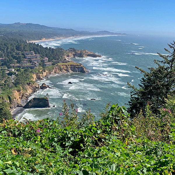 The view looking south along the coast from Otter Crest at Cape Foulweather.
