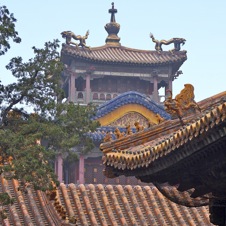 Forbidden Palace