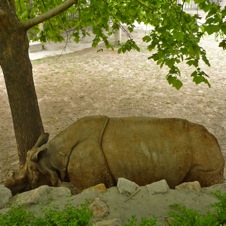 Beijing Zoo