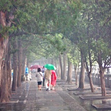 Summer Palace