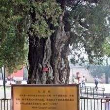 Temple of Heaven